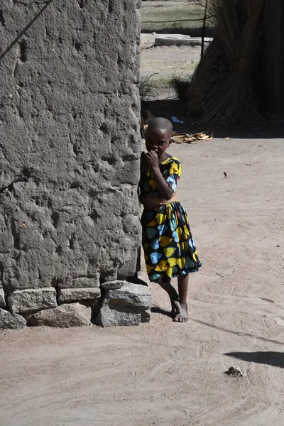 DSC_2734 (Large).JPG